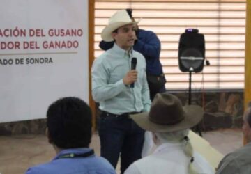 Refuerzan capacitación a más de 30 mil ganaderos en Sonora ante reapertura con EU