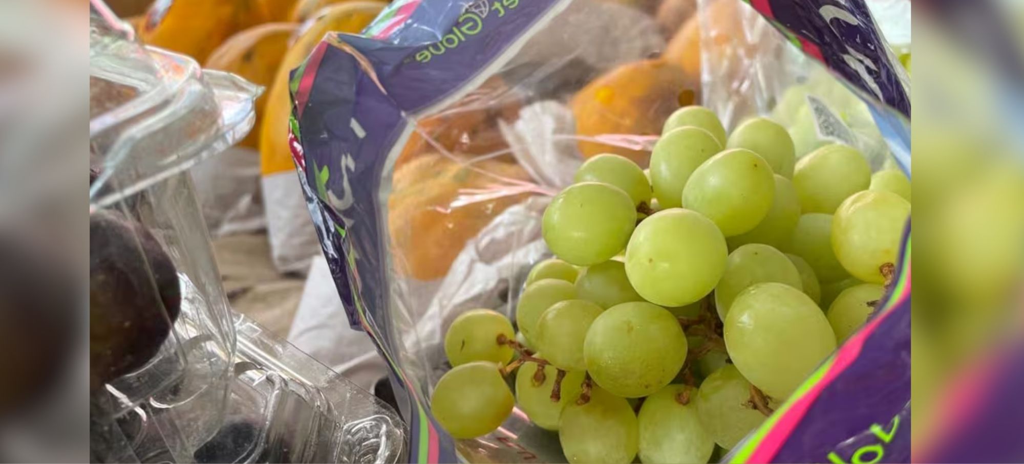 Producción nacional de uva supera las 510 mil toneladas en 2025 y Sonora lidera el sector