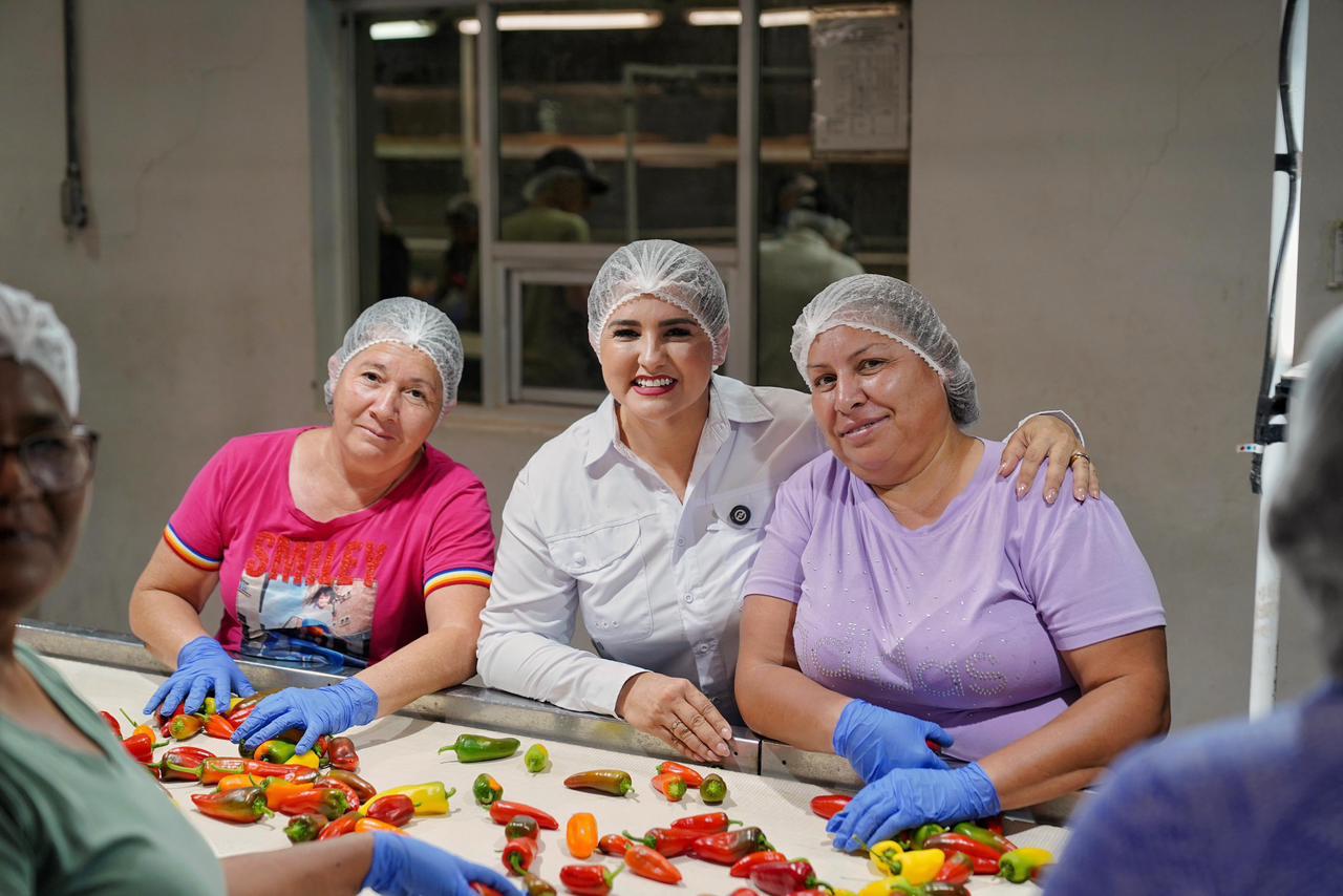 Mujeres del campo en Sonora logran ingresos de hasta 7 mil pesos semanales por producción de chile berry