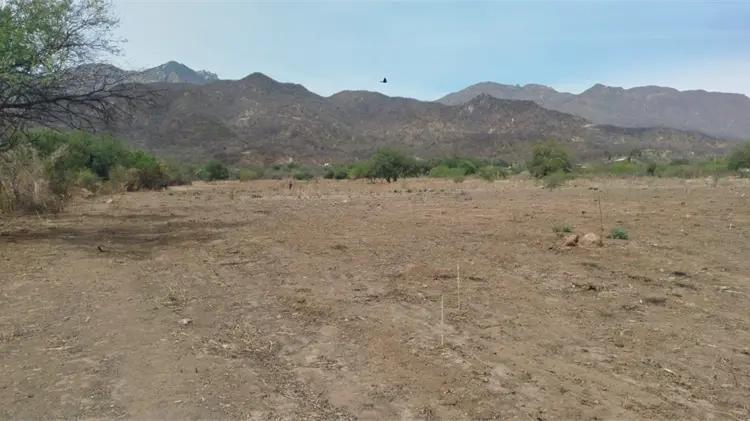 Sector ganadero de Sonora modifica labores por calor extremo