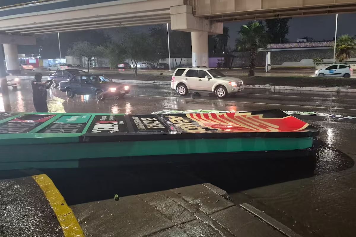 Lluvias en Sonora dejan árboles, cables y postes caídos; Hermosillo concentró el mayor número de incidentes
