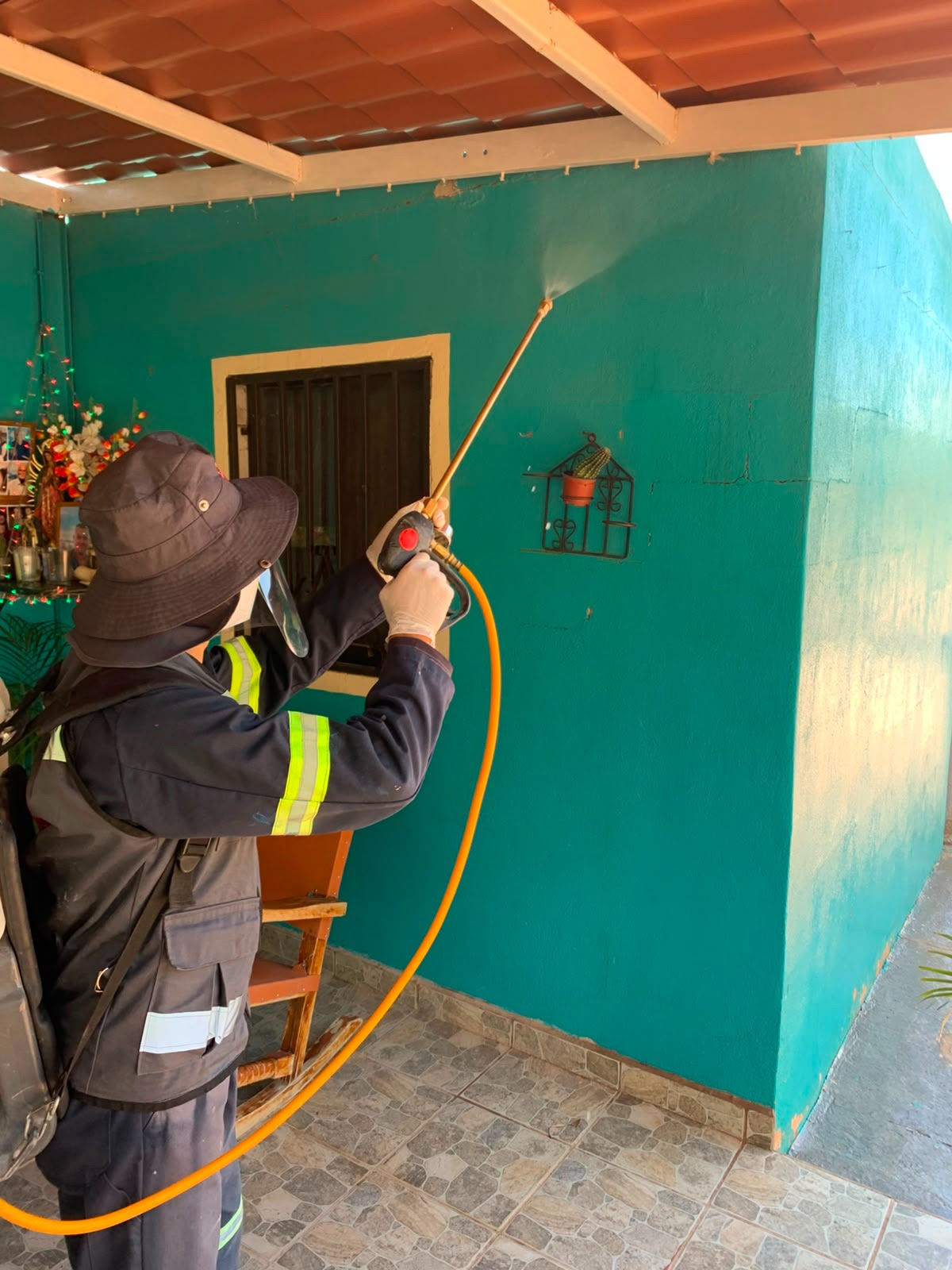 Se incrementan los casos y fallecimientos por rickettsia en Peñasco