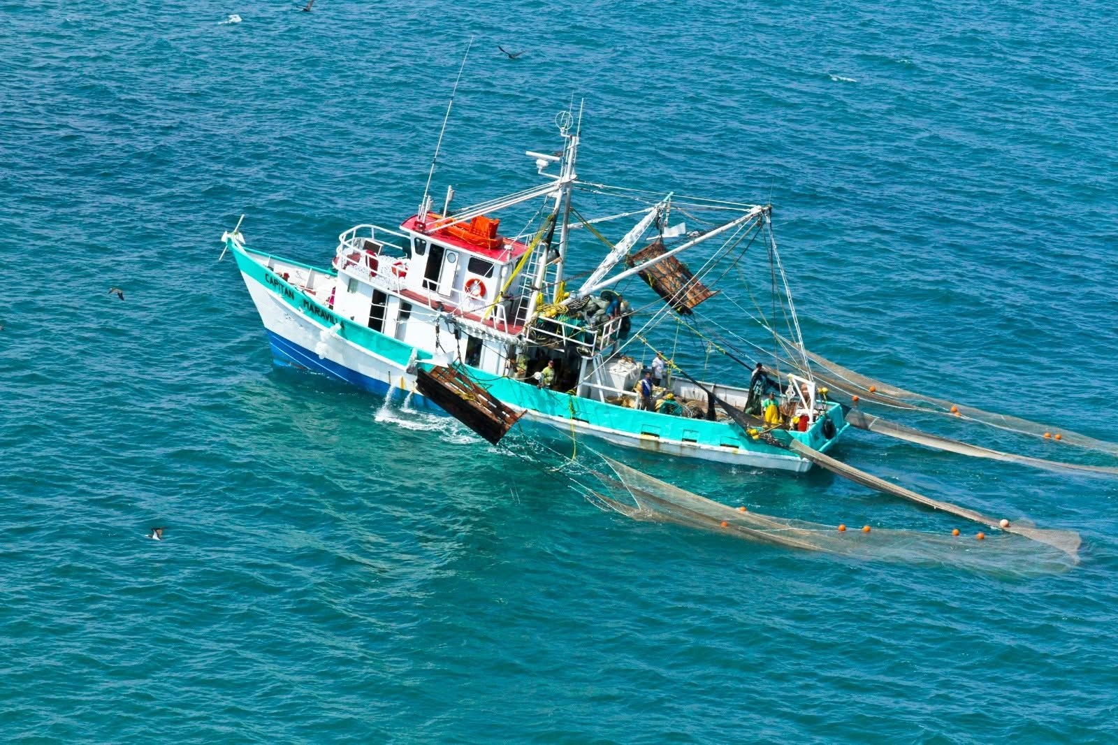 Pescadores se alistan para la temporada de camarón en Puerto Peñasco